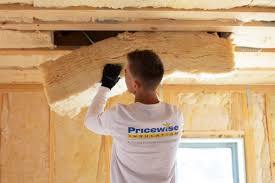 Best Commercial Insulation Services  in Durango, CO